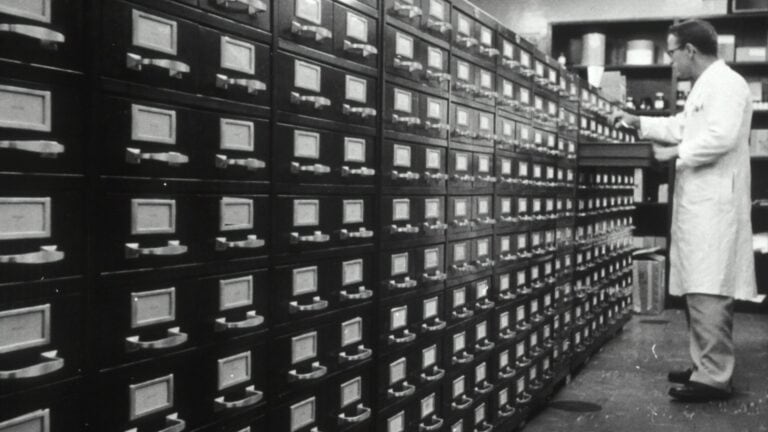 Why Kinsta Hosting Delivers Speed Beginners Need
